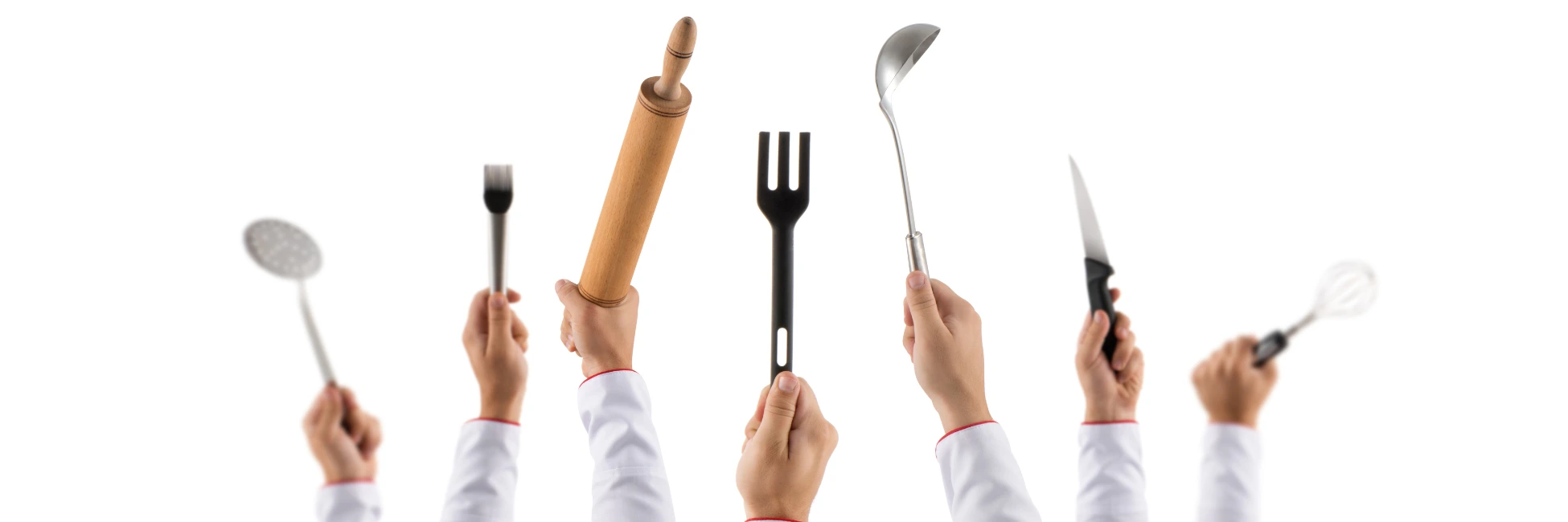 Cooking Up Success with Culinary Arts Education! culinary schools